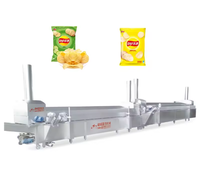 Chaîne de production compacte et automatique pour frites fraîches : Ligne complète de lavage, découpe, déhuilement et assaisonnement – Petite machine de production