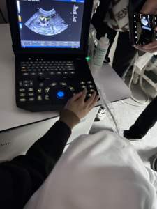 Système d'échographie vétérinaire Doppler couleur portable 3D CW avec imagerie élastique – Échographe vétérinaire couleur - Product Image 4