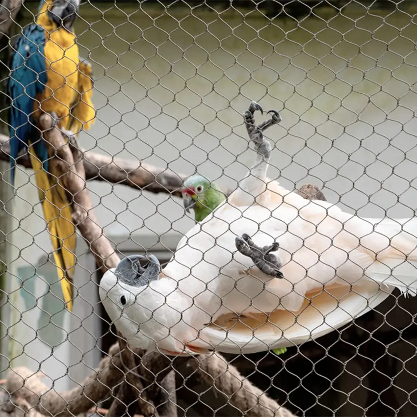 जाल चिड़ियाघर एवियरी चिड़ियाघर पार केबल के लिए तार जाल पक्षी जाल शुद्ध संरक्षण, की रक्षा जाल बुना सादे बुनाई अनुकूलित समर्थन
