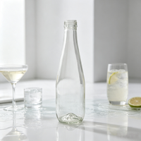 Bouteille de boisson en verre à fond volcanique 330 ml, design de base unique, étanche, durable, réutilisable, transparente, écologique