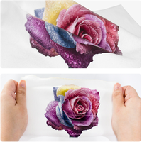 Vinyle de transfert de chaleur par sublimation HTV imprimable désherbage facile pour vêtements papier de transfert PU haute température pour textiles