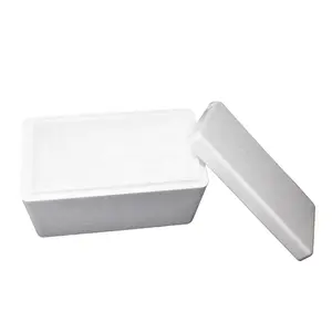 19L EPS Styrofoam Cooler Box L404 X W270 X H173 mm White Foam