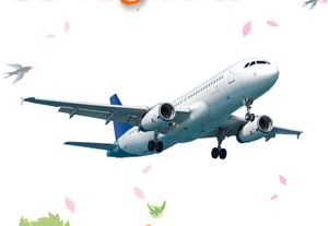 모로코 공항으로가는 저렴한 항공화물 효율적인 항공 익스프레스 운송 물류 서비스 - Product Image 3