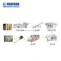 Apple/Peer/Mango Reinigingsverwerkingsapparatuur Voor Fruitgroente Wassen Droogverwerkingslijn