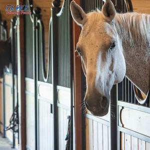 OEM ODM Cheap Stall Horse Barn Precios Venta al por mayor Horse Barn Gates Hecho en China Horse Stable and Barn Supplies - Product Image 6