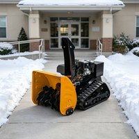 Souffleuse à neige à chenilles à essence 196cc pour allée résidentielle, machine de déneigement robuste à vendre