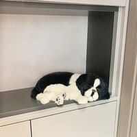 Poupée de simulation de chien en peluche personnalisée jouet pour enfants poupée Garfield armoire de voiture Tv chat suspendu en peluche ornement chien endormi poupée