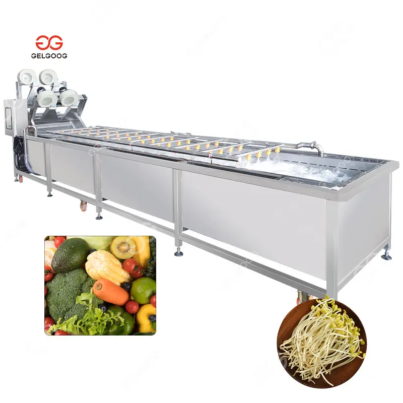 Conveyor Belt 3 Meter Bubble Water Bean Spout Washing Machine Vegetable and Fruit Washing