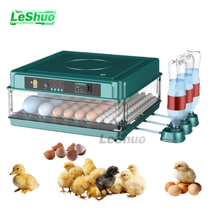 Incubatrice Automatica per Uova di Gallina <span class=keywords><strong>Mini</strong></span> da 6-128 Pezzi con Doppia Alimentazione, Materiale PP, Tasso di Schiusa del 98%, Garanzia di 1 Anno - Product Image 1