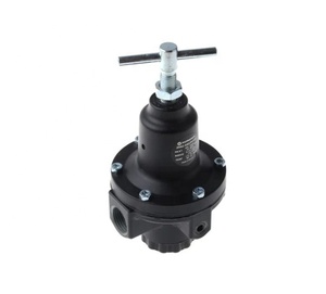 20AG-X4G-PH100 - Regulador de 1/2" BSPP |   Medidor de Flujo Alto 20AG-X4G-PH100 de la Serie 20AG - Product Image 1