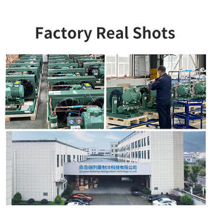 कोल्ड स्टोरेज उपकरण के लिए फ्रीजर रूम प्रशीतन यूनिट कोल्ड स्टोरेज उपकरण - Product Image 4