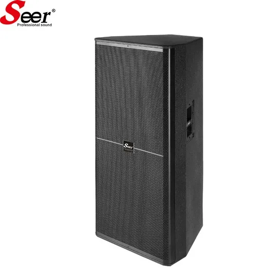 Seer SRX-718 Single 18 Inch Passive Subwoofer 700W RMS High Power Professional Stage Bass Loudspeaker