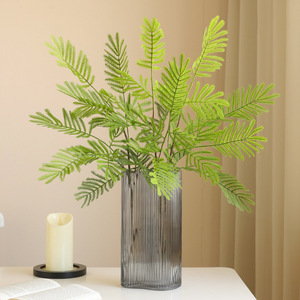 Simulation Mimosa <span class=keywords><strong>Pudica</strong></span> <span class=keywords><strong>Plante</strong></span> Artificielle Feuillage Plastique Sensible <span class=keywords><strong>Plante</strong></span> Feuilles pour Arrangement de Fleurs Décoration Intérieure Feuille Verte - Product Image 1
