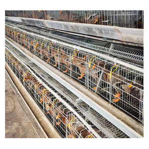 Cage <span class=keywords><strong>de</strong></span> <span class=keywords><strong>canard</strong></span> éleveur automatique <span class=keywords><strong>de</strong></span> ferme cage <span class=keywords><strong>de</strong></span> <span class=keywords><strong>canard</strong></span> à oeufs pour <span class=keywords><strong>canard</strong></span> pondeuse - Product Image 3