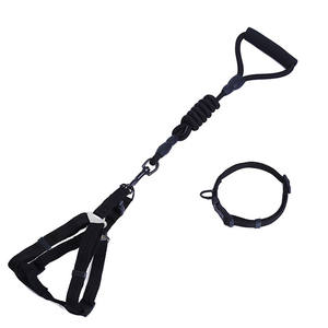 Poignée en <span class=keywords><strong>mousse</strong></span> d'explosion corde tressée laisse et collier solides pour animaux de compagnie pour chien en nylon - Product Image 5