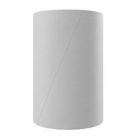 Bande abrasive personnalisée en carbure de silicium, type Léopard Blanc, pour ponceuse à tambour