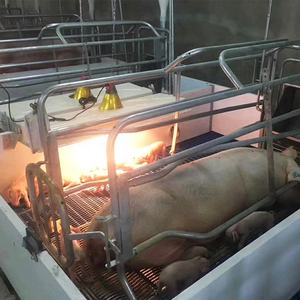 Équipement de ferme porcine galvanisé Système de stalle <span class=keywords><strong>Cage</strong></span> de mise bas Cages pour animaux pour porcs Vente à la ferme - Product Image 3