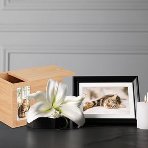 Guci Abu Hewan Peliharaan dari Bambu yang Dipersonalisasi dan Penuh Perhatian untuk Kenangan Hewan Peliharaan Tercinta - Product Image 3
