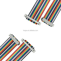 6 8 10 12 14 16 20 24 26 30 34 40 50 60 64 Pin 2.54mm Pitch Konektor Idc Abu-abu Perakitan Kabel Datar Kabel Pita Idc