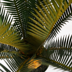 Arbre artificiel de sago cycas de haute qualité, fleurs <span class=keywords><strong>LED</strong></span> d'intérieur, bonsaï avec feuilles en plastique, arbustes de 60 cm pour la décoration de Noël - Product Image 3