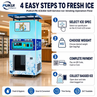 Distributeur automatique de glace commercial 110 kg/24h, paiement par carte de crédit et pièces, ensachage automatique, PK-ICE450, machine à glaçons en cubes, extérieur