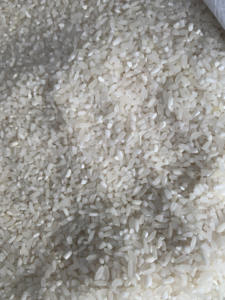 Granos de Arroz Blanco Rotos Origen Vietnam |   Ingrediente Fresco, Suave, de Alta Calidad y Seguro para Alimentos |   Venta al por Mayor a Granel Rentable - Product Image 5
