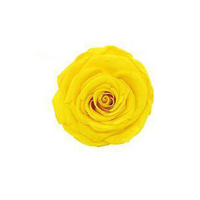 Jaune doré