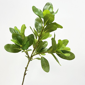 צבע עלווה מלאכותי מזל צבע שינוי צמחייה faux פרחוני עלים itosporum דקורטיביים עבור סידור קיר הצמח - Product Image 3