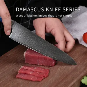 Cuchillos de cocina de acero de Damasco en mango de resina azul de alta calidad Juego de cuchillos de chef de acero de Damasco de 67 capas