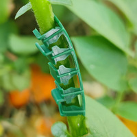 Clips de plástico para Injerto de tomate para invernadero, nuevos clips redondos de soporte para armadura de plantas, Clips de tomate de arco biodegradables