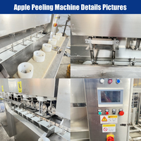 Automatisering Oranje Appelschilmachine Industriële Elektrische Appelschiller Buitsnijmachine Appelschil Snijmachine
