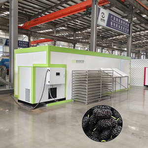 Équipement de séchage de fruits en plateaux, Machine de séchage de tranches de banane, Machine de séchage de mûres - Product Image 1
