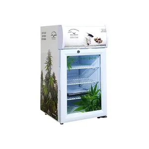 Meisda SC21B Mini Display cooler porta in vetro controsoffitto Mini frigo