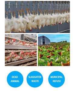 Bonne rétroaction farine de plumes et farine de laine de l'usine de traitement de repas de plumes - Product Image 2