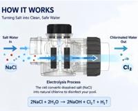 Système de désinfection durable pour piscine, électrolyse de l'eau salée