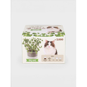 Coom Nigni Friend Premium Catnip Seeds para productos para mascotas felinas - Product Image 1