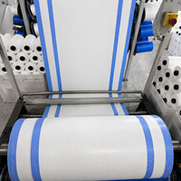 Sac en PP tissé blanc recyclé de 25 kg et 50 kg pour emballage OEM – Sacs pour sable, ciment, farine, riz, engrais, aliments et aliments pour animaux