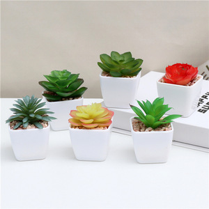 Populaire Mini Realistische Kunstmatige Vetplanten In Witte Plastic <span class=keywords><strong>Pot</strong></span> Voor Thuis Kamer Plank Bureau Decor - Product Image 1