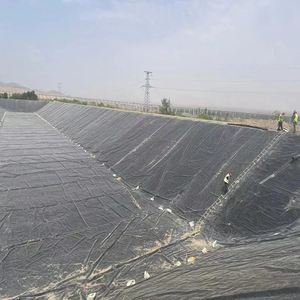 Industriële Anti-Veroudering Waterdichte Milieuvriendelijke Hdpe Voering Kunstmatige Meertank Dam Zwemmen Zwembad Visvijver Boerderij Gebruik Geomembraan - Product Image 2