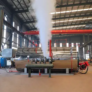 Caldera de vapor de aceite de gas, 4 tonner, 10 barras