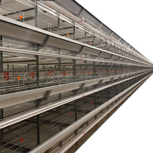 Nouvel équipement moderne et intelligent <span class=keywords><strong>de</strong></span> type H pour l'élevage <span class=keywords><strong>de</strong></span> poulets en batterie, avec alimentation et abreuvement entièrement automatiques, collecte des œufs et nettoyage du fumier - Product Image 1
