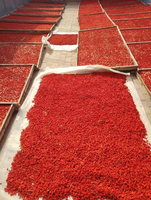 Groothandelsprijs OEM Natuurlijke Smaak Chinese Wolf Berry Rode Goji Gedroogd Fruit Product
