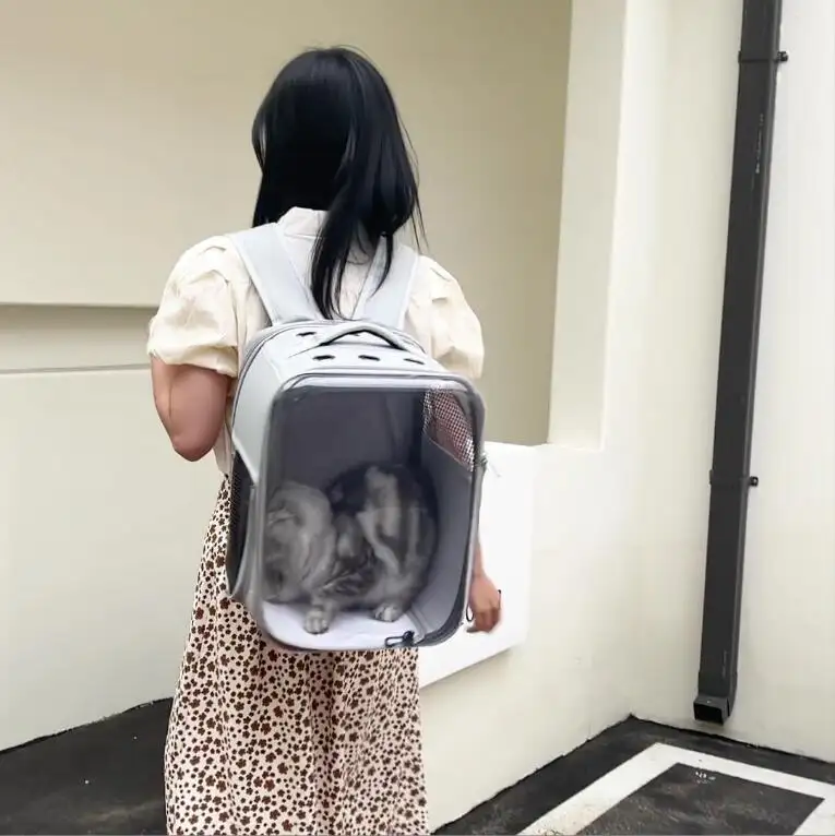 Fabrika sıcak kabarcık sevimli karikatür kedi peluş sırt çantası hayvan mama kabı standı bambu yükseltilmiş üst besleyici satılık