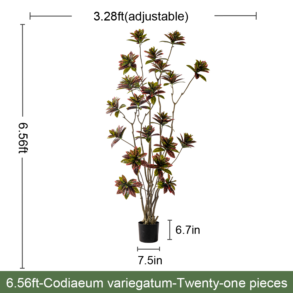 6.6FT/200CM