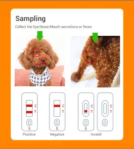 IClean Kit di Test rapido per cani monouso per uso domestico CDV CPV Kit di Test per antigene Parvovirus canino per cani