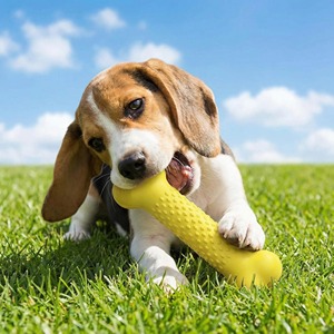 Jouet à mâcher pour chien en caoutchouc naturel, design personnalisé, os résistant pour mâcheurs agressifs, bâtonnet dentaire longue durée / Logo personnalisé - Product Image 6