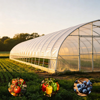 Serre en PE monocouche de grande taille 30 x 10 m avec système de ventilation pour la culture de fleurs et de plantes