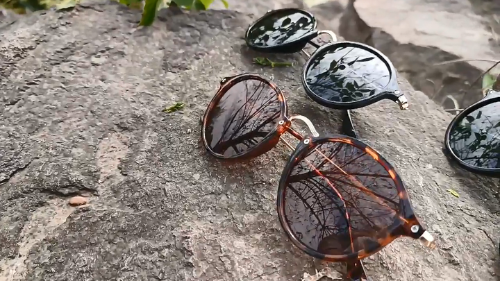 Small Round Glasses Vintage Eyeglasses for Men Women