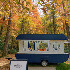 Chariot de restauration mobile rustique et rétro pour stand de rue, marché nocturne, sandwichs, snacks, boissons, petite entreprise de restauration en plein air - Product Image 4