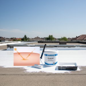 Solar Heat Reflective <b>Waterproofing</b> Roof Paint - Product Image 3